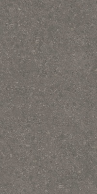 Чеппо ди Гре коричневый матовый обрезной 119,5x238,5x1,1