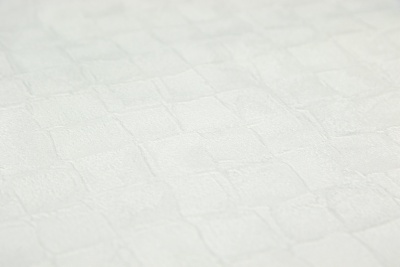 Обои виниловые на флизелиновой основе Мираж, база универсальная, белый Обои виниловые на флизелиновой основе Мираж, база универсальная, белый