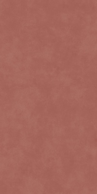 Таделакт красный матовый обрезной 60x119,5x0,9