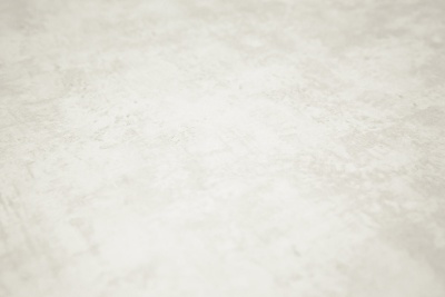 Обои виниловые на флизелиновой основе Трофи база, белый Обои виниловые на флизелиновой основе Трофи база, белый