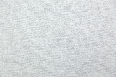 Обои виниловые на флизелиновой основе Отражение база, серый светлый